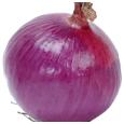 Lovely onion